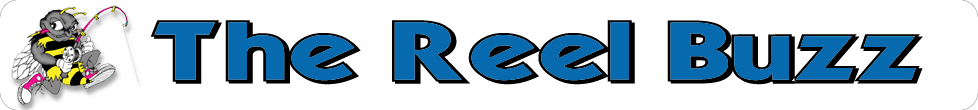 The Reel Buzz
